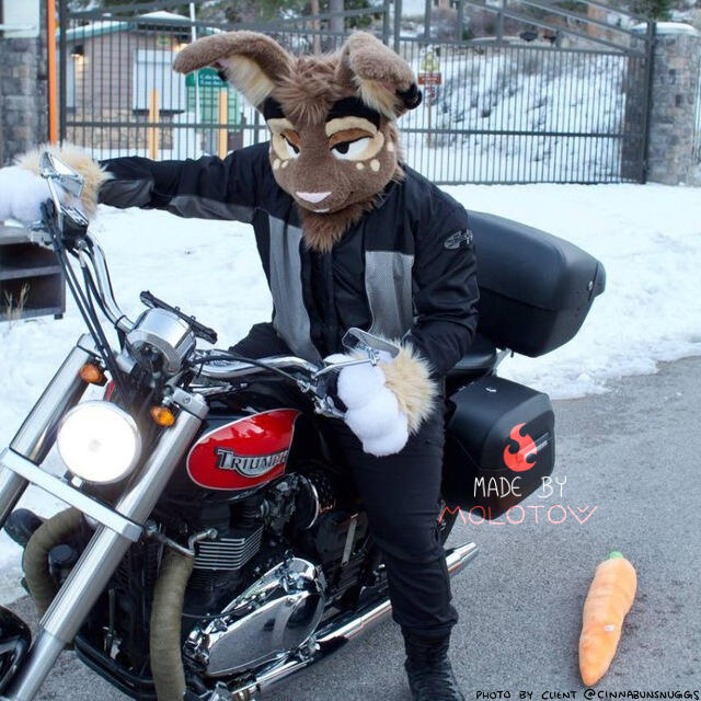 A person wearing the partial fursuit of Cinna the rabbit, sitting on a motorcycle. Text in the corner of the image reads "photo by client @cinnabunsnuggs".