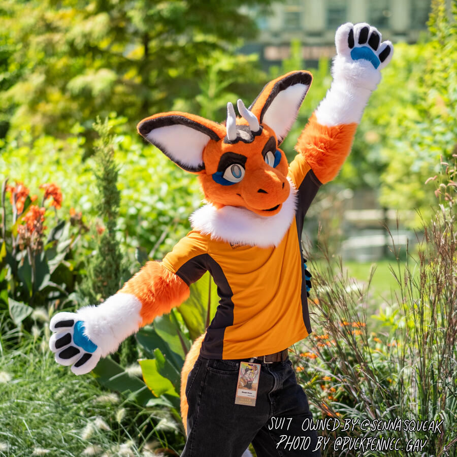 Senna A person wearing an orange dragon fursuit posing outside. Text overlayed on the image reads: Suit owned by @SennaSqueak, photo by @puckfennec.gay