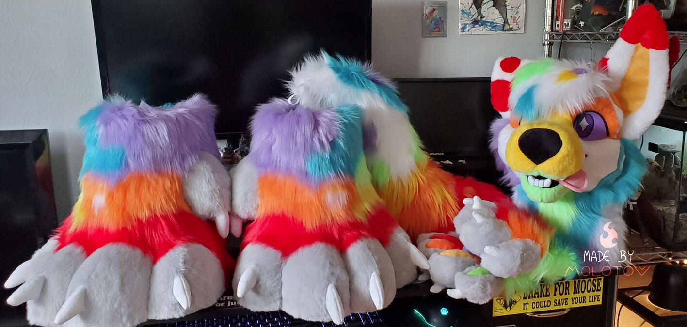 Quartz The head, hand paws, feet paws, and tail of Quartz, a rainbow colored Australian shepherd.