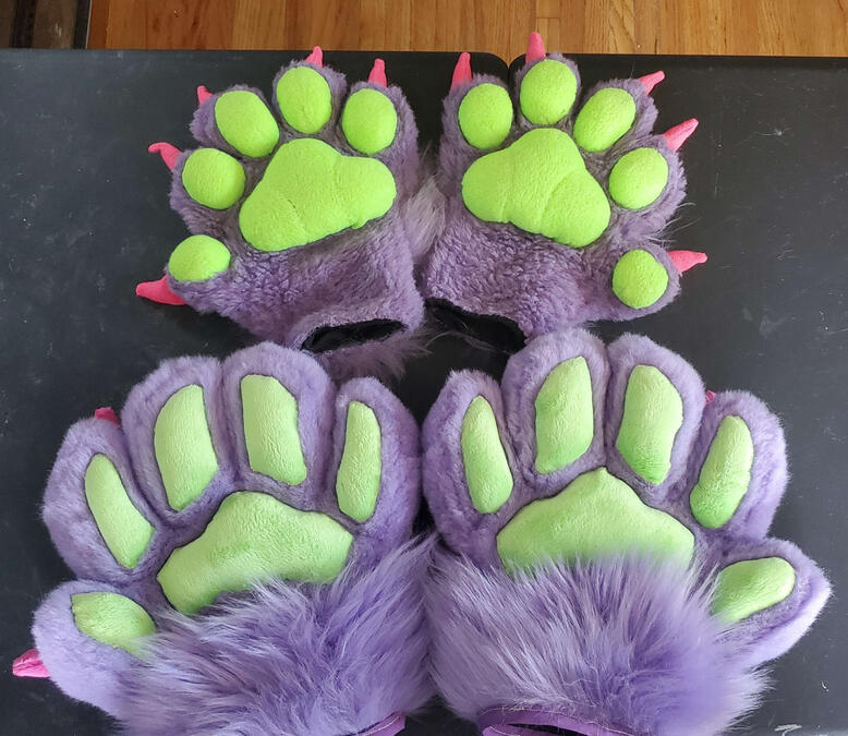 bh3 Two sets of paws. The top set are smaller and duller in color than the bottom pair, which are much bigger and fluffier in comparison.
