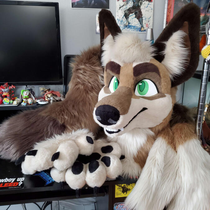 The fursuit head, paws, tail and arm sleeves of Gris, a brown coyote with green eyes.