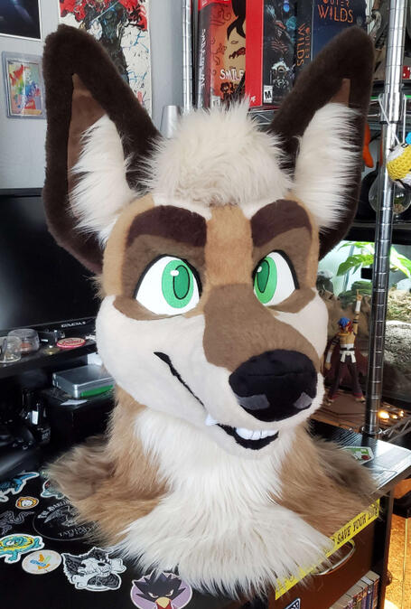 Another view of the fursuit head of Gris, a brown coyote with green eyes.