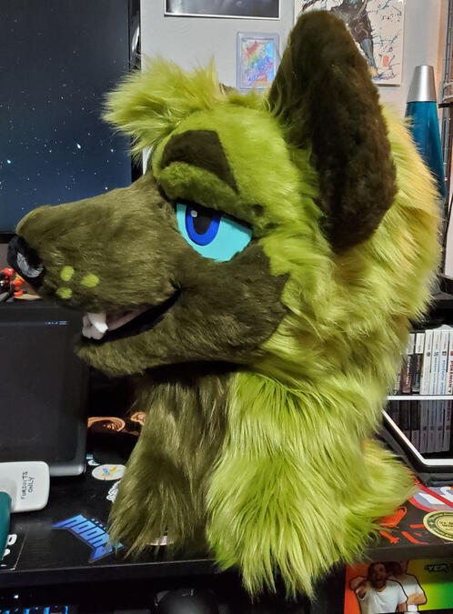 A profile view of the head of Jin, a green spotted hyena.