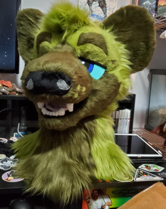 The head of Jin, a green spotted hyena.