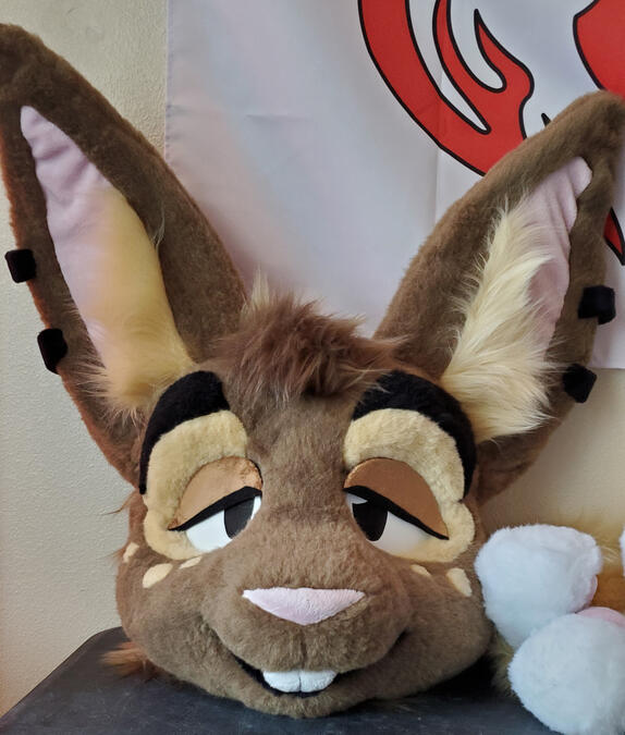 The head of Cinna, a brown rabbit. His eyes are lidded.