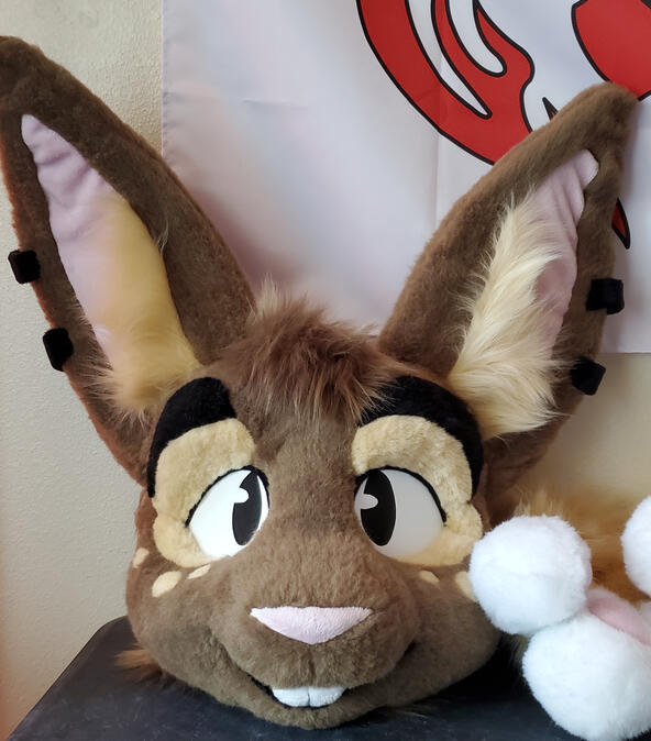 The head of Cinna, a brown rabbit.