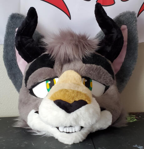 saber1 The head of a grey cat with black bull horns.