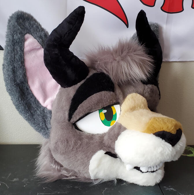 Another view of the head of a grey cat with black bull horns.