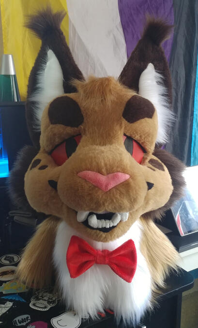allen2 The head of Allen, a brown lynx wearing a red bow tie.
