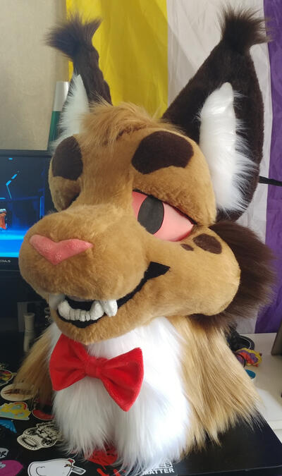 The head of Allen, a brown lynx wearing a red bow tie.