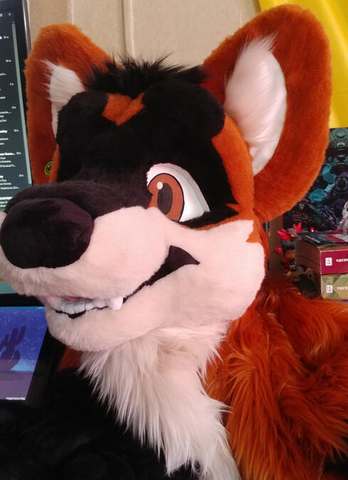 The head of Sign, a red and black dhole.