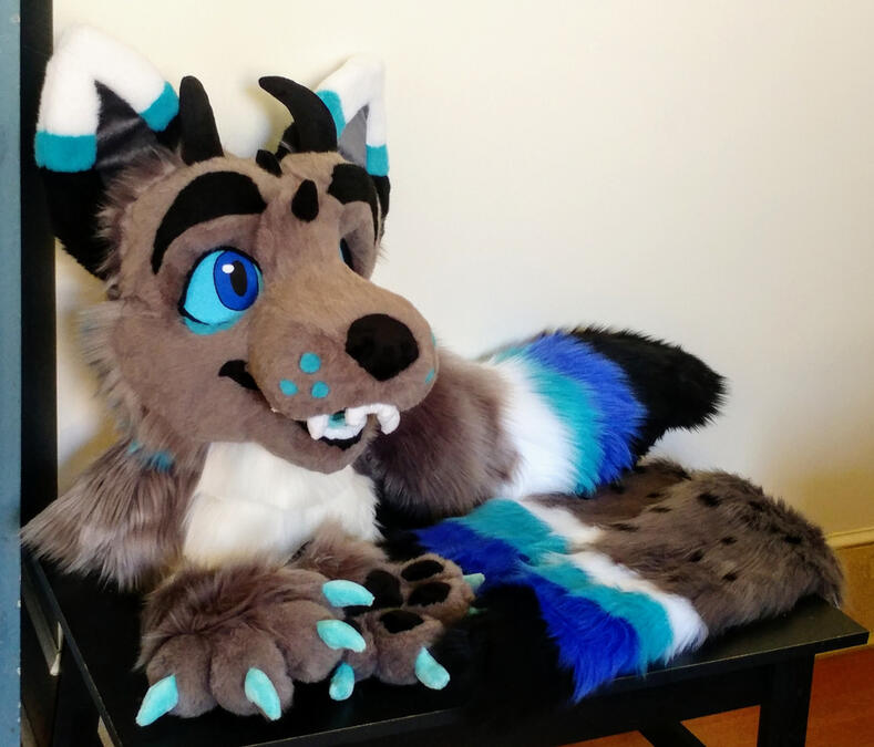 The head, paws, tail and arm sleeves of Zephyr, a grey and blue dragon wolf with black horns on his head.