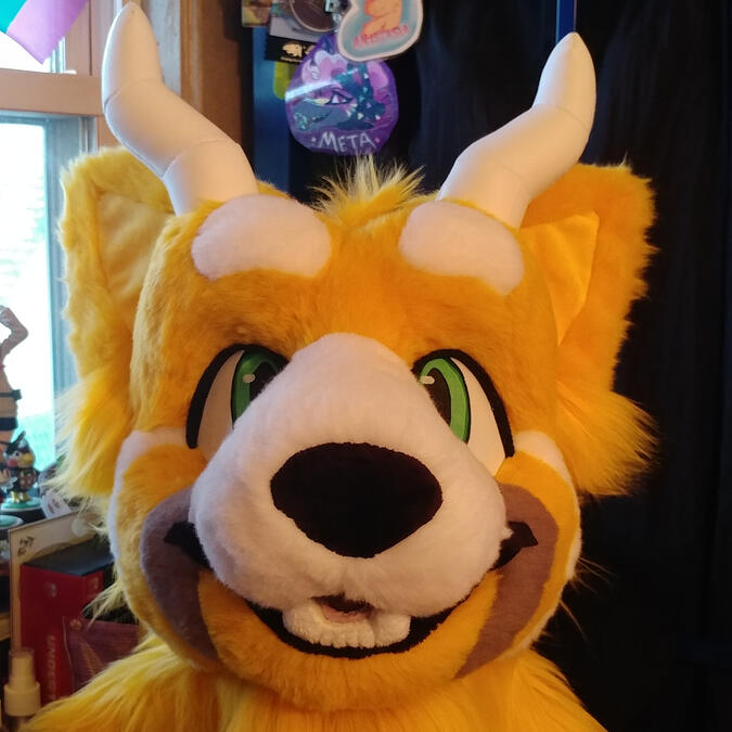 orphie1 The head of Orphie, a yellow colored red panda with white horns.