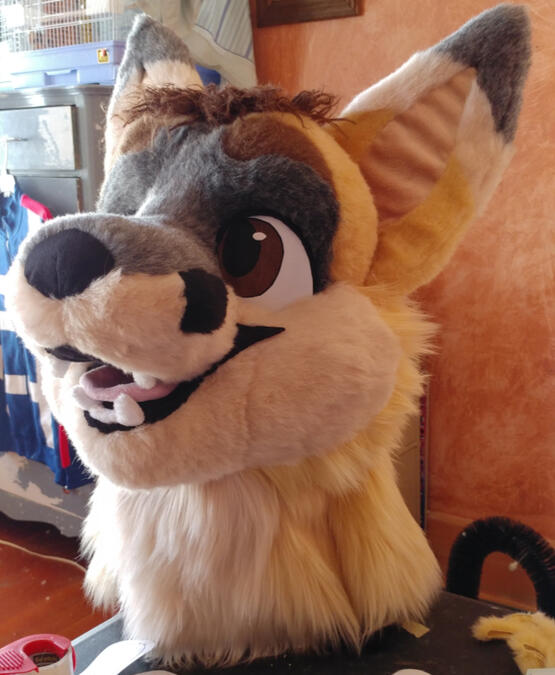 velox1 The head of Velox, a naturally colored swift fox with curled brown hair atop his head.