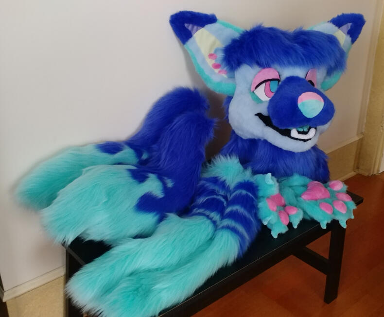 incu1 The head, paws, two tails, and arm sleeves of Incu, a blue bat-eared fox.