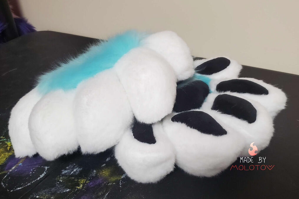 The handpaws of Sienna.