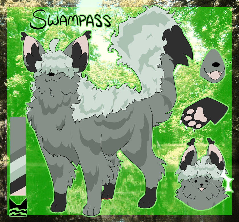 Swampass ref A character reference sheet of Swampass, a thickly furred grey-green cat with long fur covering his eyes.