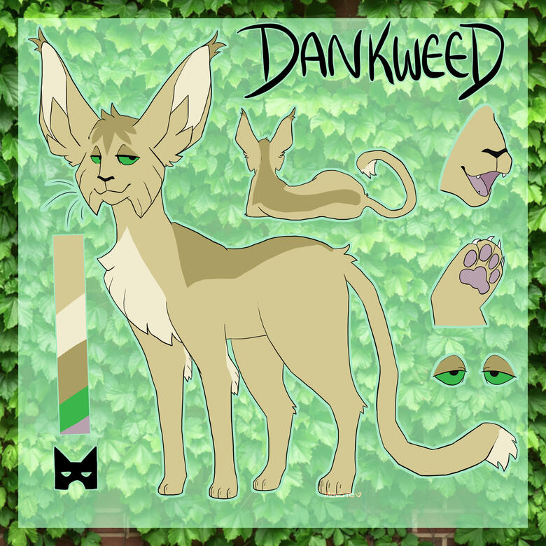 Dankweed ref A character reference of Dankweed, a greyish yellow cat with a relaxed expression.