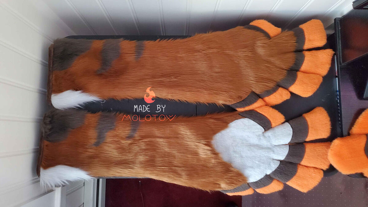 The armsleeves/hands of the bearded vulture, shaped to look like wings.