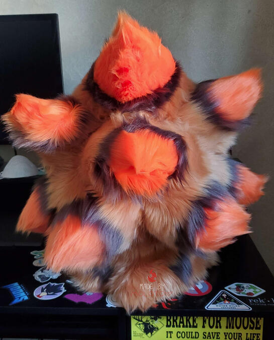 The back of the bearded vulture's head.