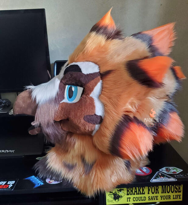 vulture2 A profile view of the bearded vulture's head.