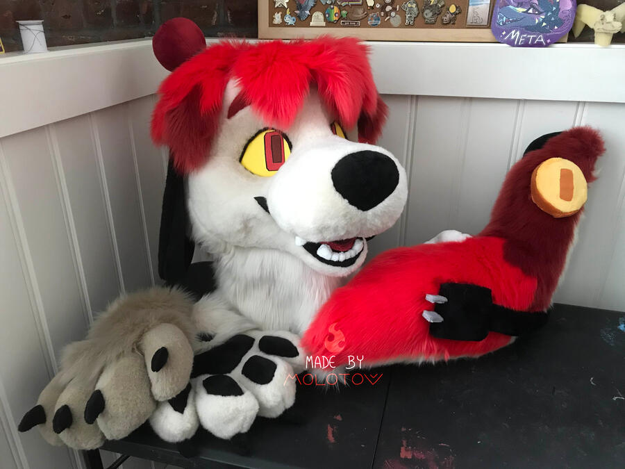 NEIL1 The fursuit head, handpaws, and tail of Neil, a canine character.