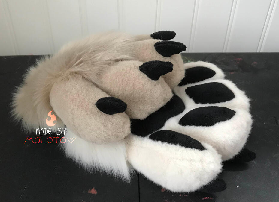 The handpaws of Neil.